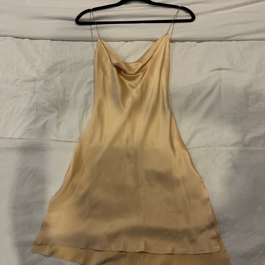 Are You Am I Nique Dress